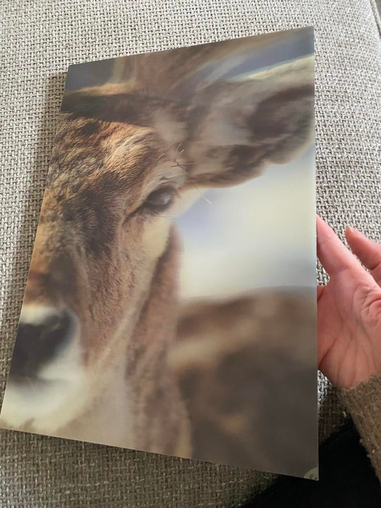 Hert print op hout Natuur kunst afbeelding 3D, Ophalen of Verzenden, Zo goed als nieuw, Minder dan 50 cm, Print