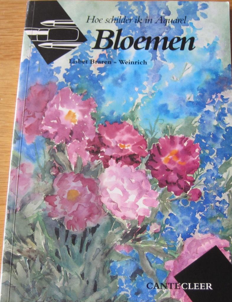 Hoe schilder ik in aquarel bloemen - technieken - werkwijzen, Boeken, Ophalen of Verzenden, Zo goed als nieuw, Tekenen en Schilderen