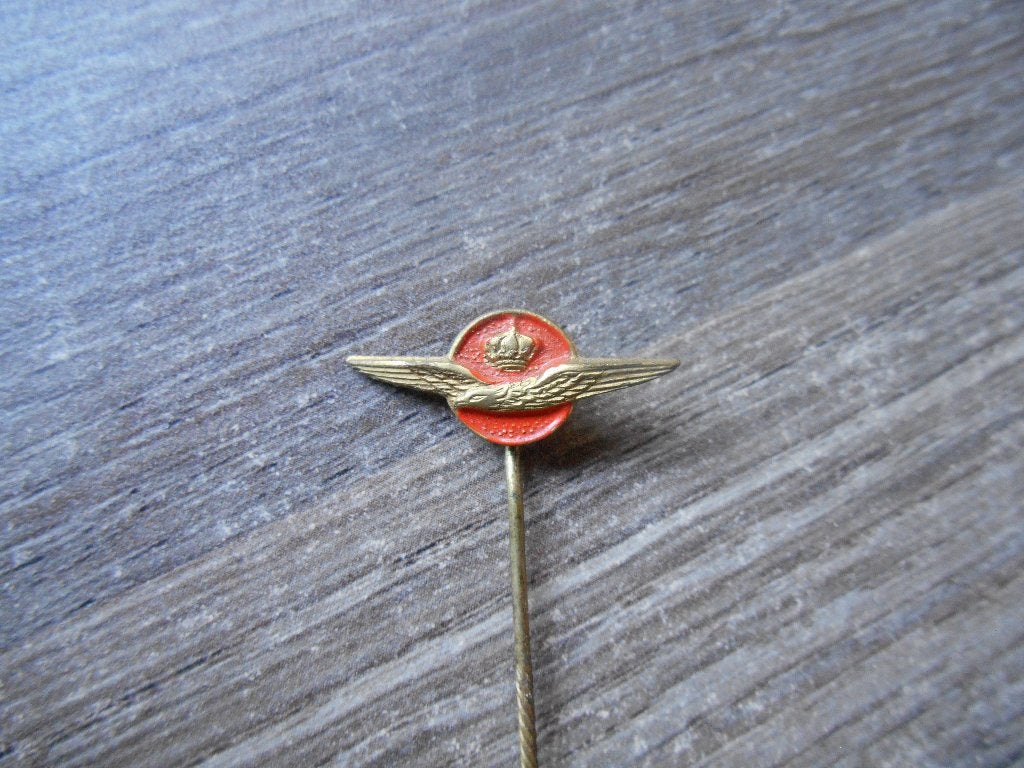 Koninklijke Luchtmacht insigne KLu, Ophalen of Verzenden, Luchtmacht, Nederland, Overige typen