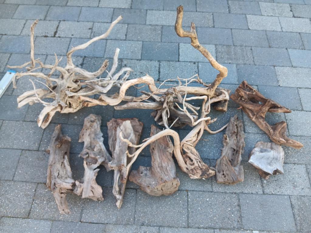Verschillende stukken kienhout, Dieren en Toebehoren, Ophalen of Verzenden, Tak, Plant, Rots of Steen