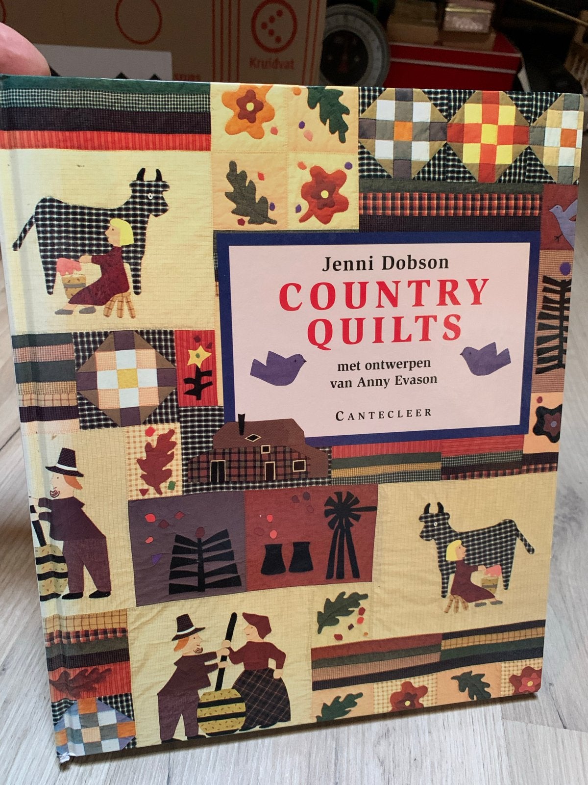 Country Quilts Hobbyboek Quilten Jenni Dobson & Anny Evason, Boeken, Ophalen, Zo goed als nieuw, Borduren en Naaien, Geschikt voor kinderen