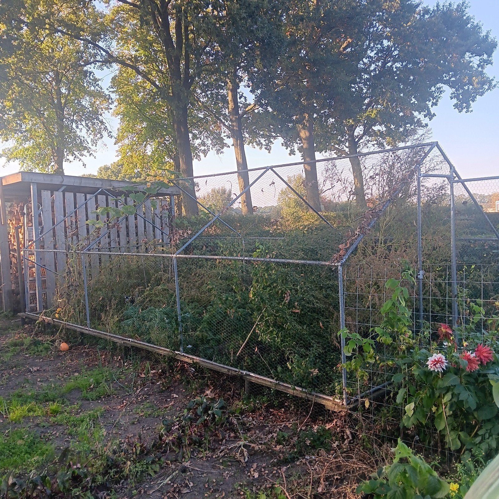 Robuuste Kweekkas Frame - Ideaal voor Tuinprojecten, Gebruikt, Overige materialen, Kweekkas, Ophalen
