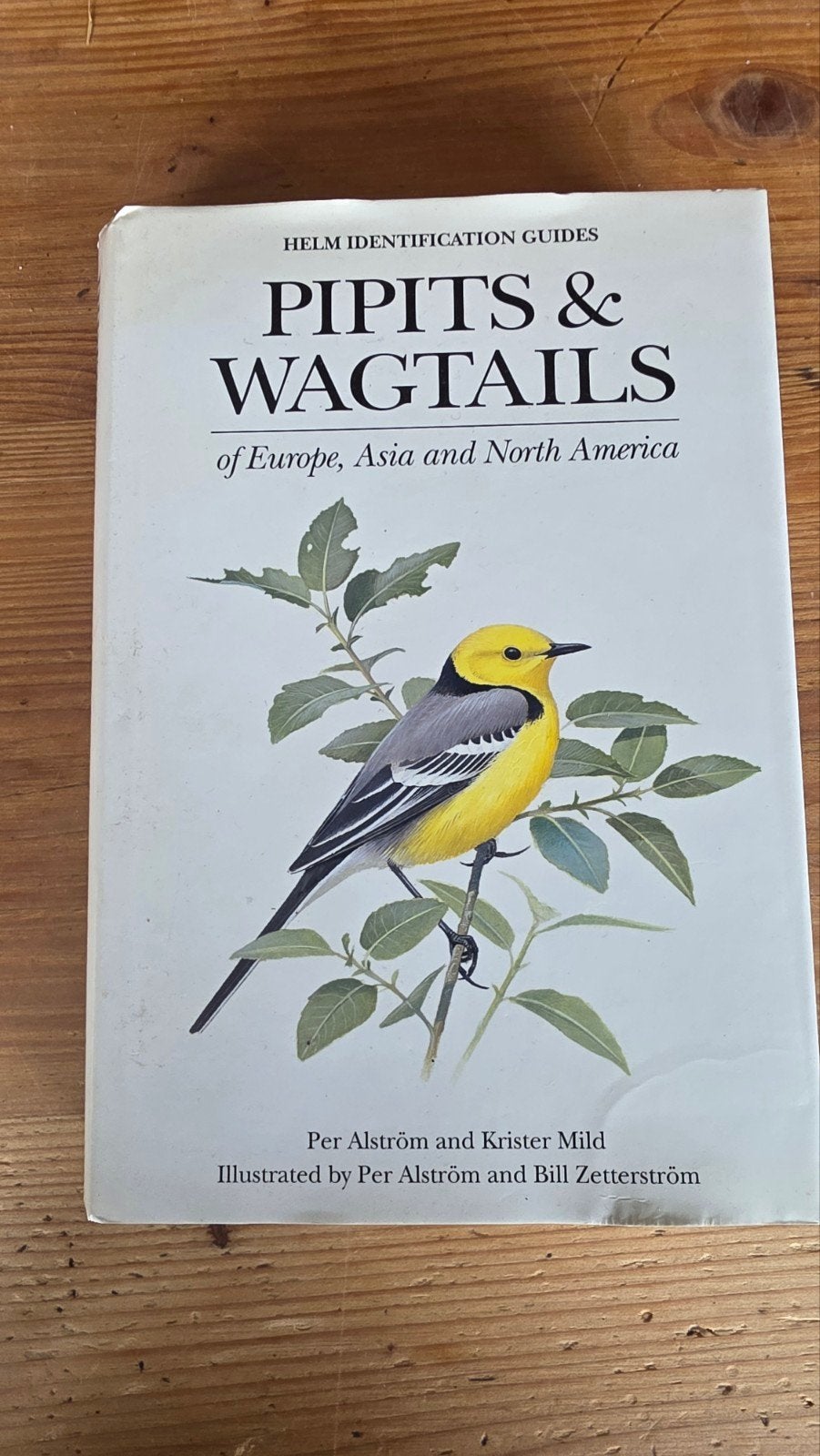 Pipits & wagtails  vogelgids, Boeken, Ophalen of Verzenden, Zo goed als nieuw, Vogels, Per alstrom en krister mild