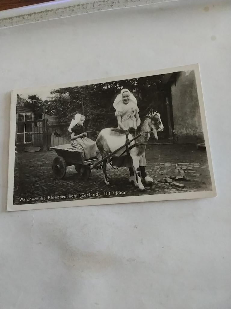 WALCHEREN  ZEELAND. UIT RIJDEN MET BOKKEWAGEN 1939, Ophalen of Verzenden, 1920 tot 1940, Zeeland