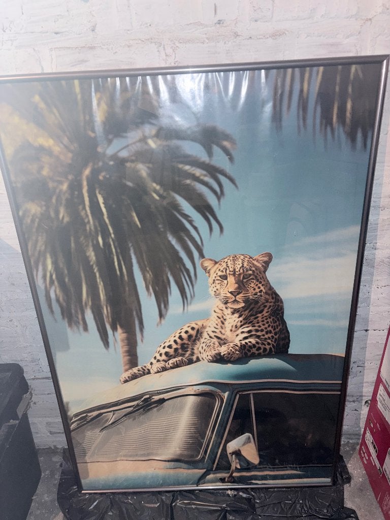 Foto, Ophalen, 50 – 75, Minder dan 50 cm, Nieuw