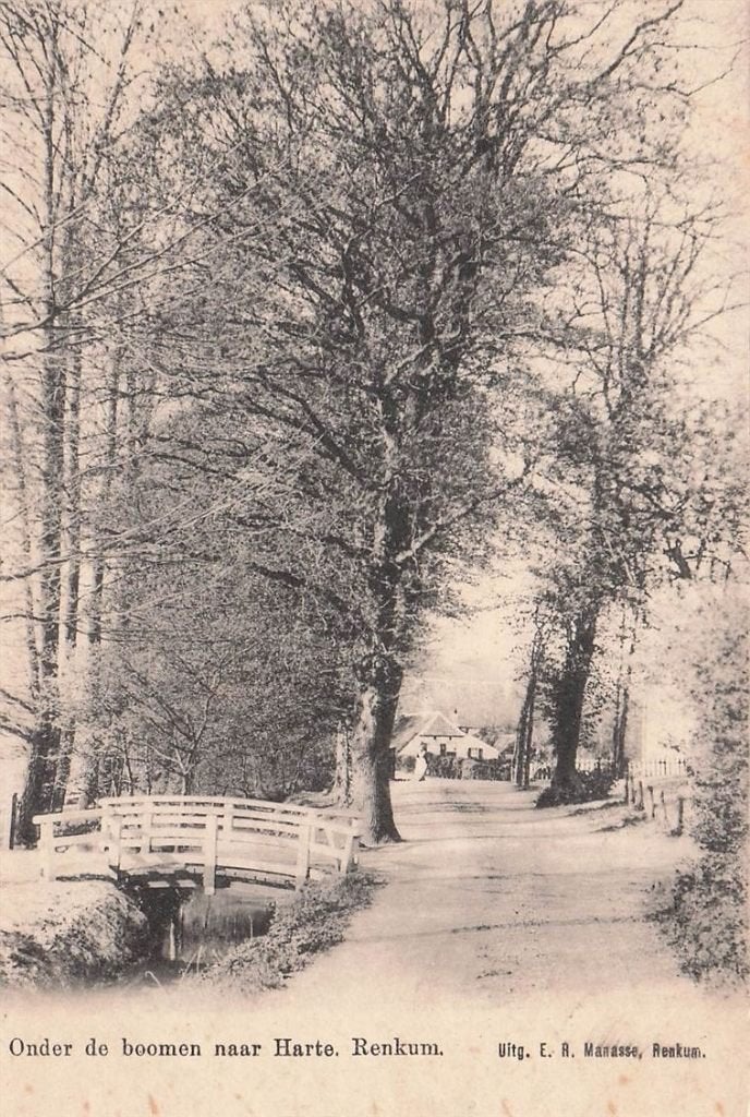 702-350-049 Onder De Boomen Naar Harte Renkum, Ophalen of Verzenden, Voor 1920, Gelderland