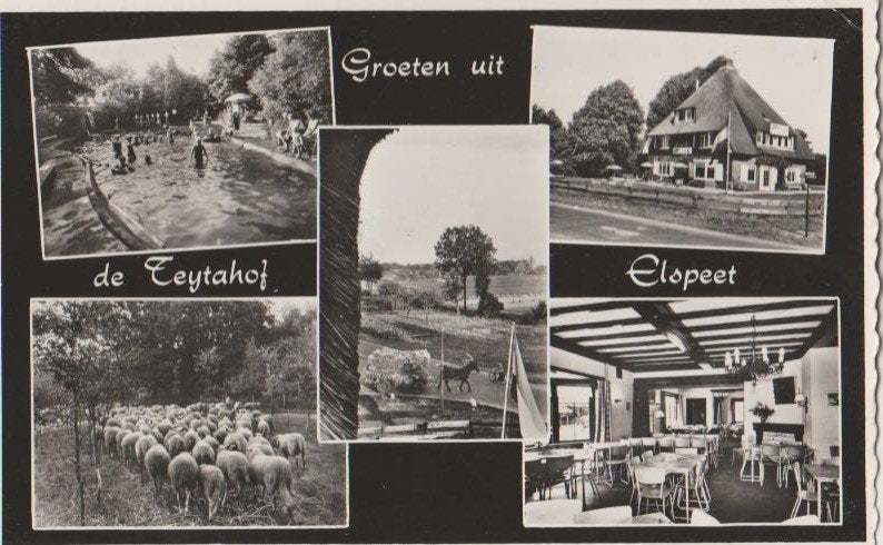 Elspeet (Gld.) Groeten uit De Feijtahof 1962., Ophalen, 1940 tot 1960, Gelopen, Gelderland
