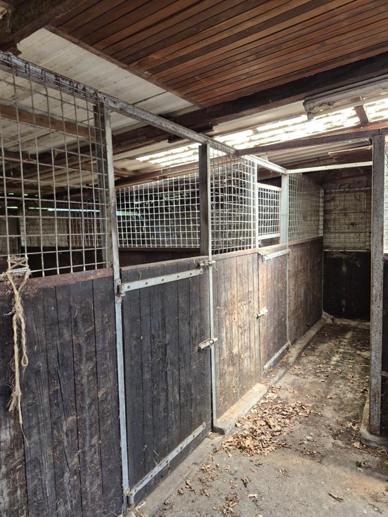 Paardenboxen