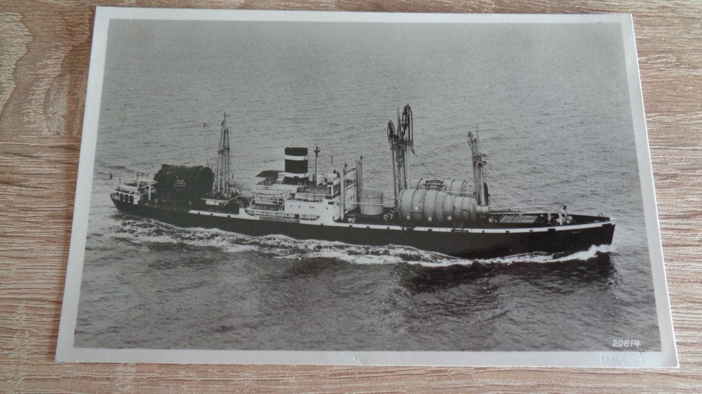 m.s Delft, Verzenden, Gebruikt, Kaart, Foto of Prent