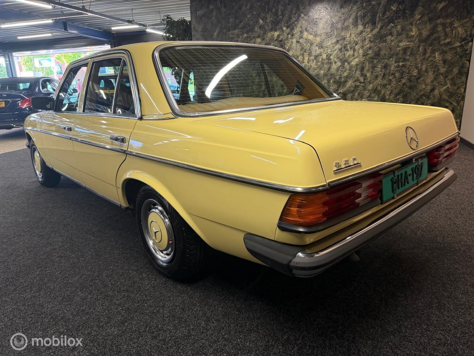 Mercedes Mercedes 250 Oldtimer W123 E/S 250, foto 3