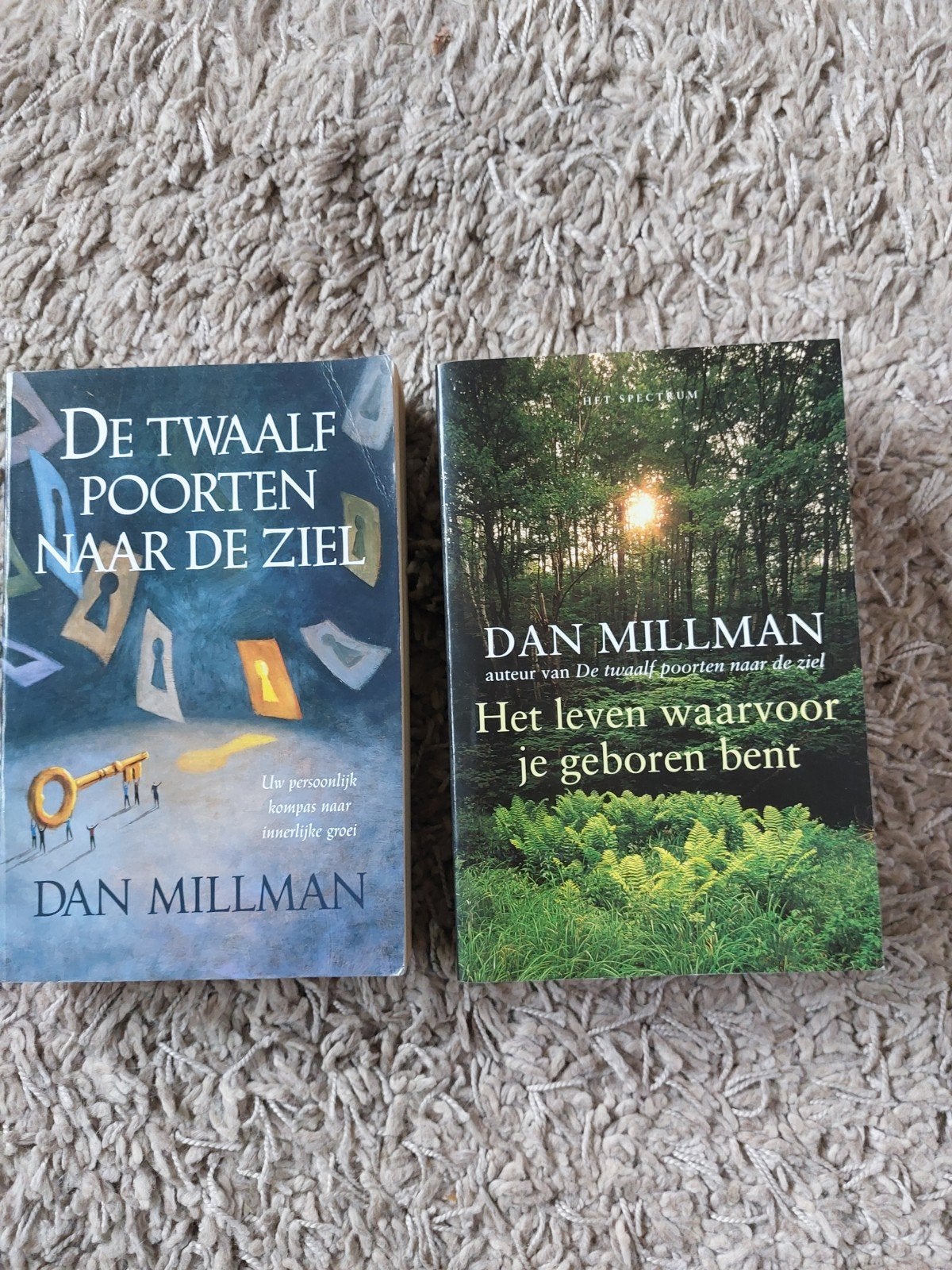 Dan Millman: De Twaalf Poorten naar de Ziel & Het leve, Achtergrond en Informatie, Spiritualiteit algemeen, Ophalen of Verzenden