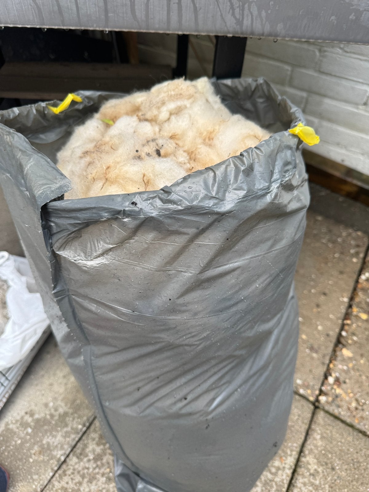 Schapenwol /vacht, Hobby en Vrije tijd, Ophalen of Verzenden, Spinwol