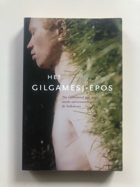 Het Gilgamesj-epos, Ophalen of Verzenden, Gelezen