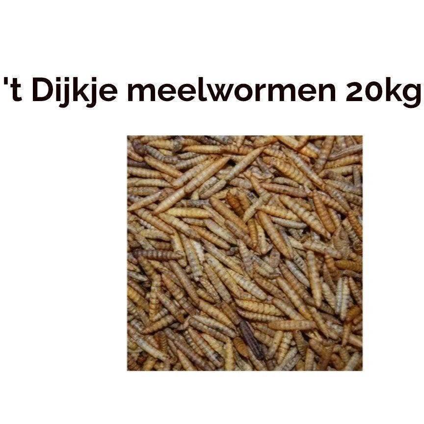 't Dijkje meelwormen 20kg