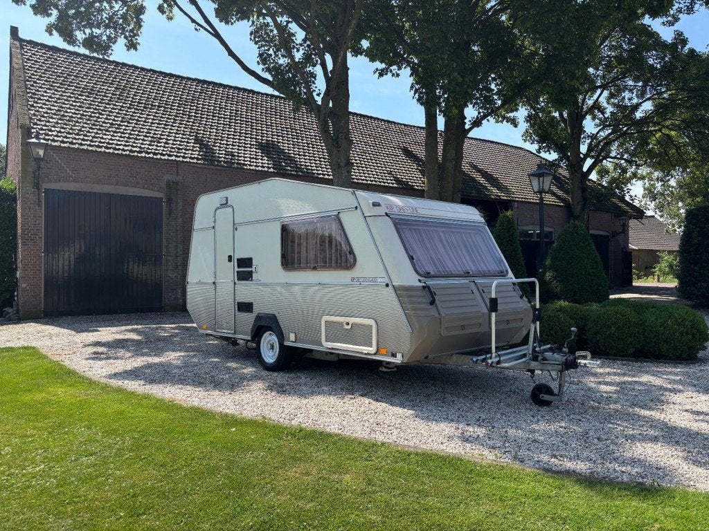 Kip GREY LINE 40 EK/LUIFEL/FIETSENDRAGER, Kip, Tot en met 2, A.G. Bellstraat 4 7903 AD Hoogeveen, Bedrijf