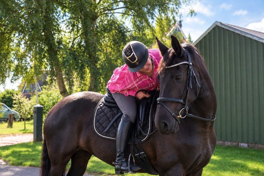 FRIESE STERMERRIE v.d. AREBO HOEVE, Dieren en Toebehoren, Merrie, Met stamboom, Dressuurpaard, L