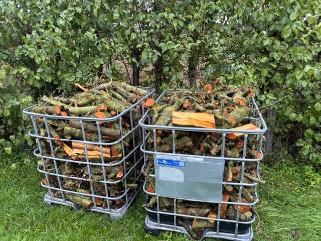 kachelhout, haardhout, pruimen hout, 3 tot 6 m³, Ophalen, Overige houtsoorten