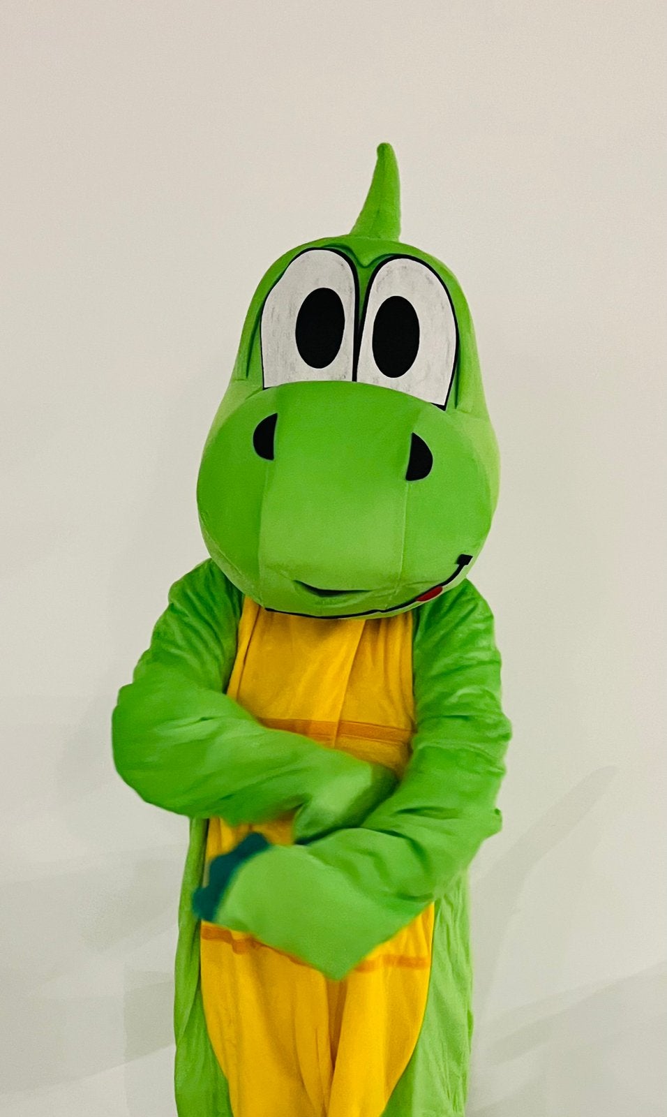 Dino mascotte met de leukste acteur op jouw verjaardag!, Ophalen