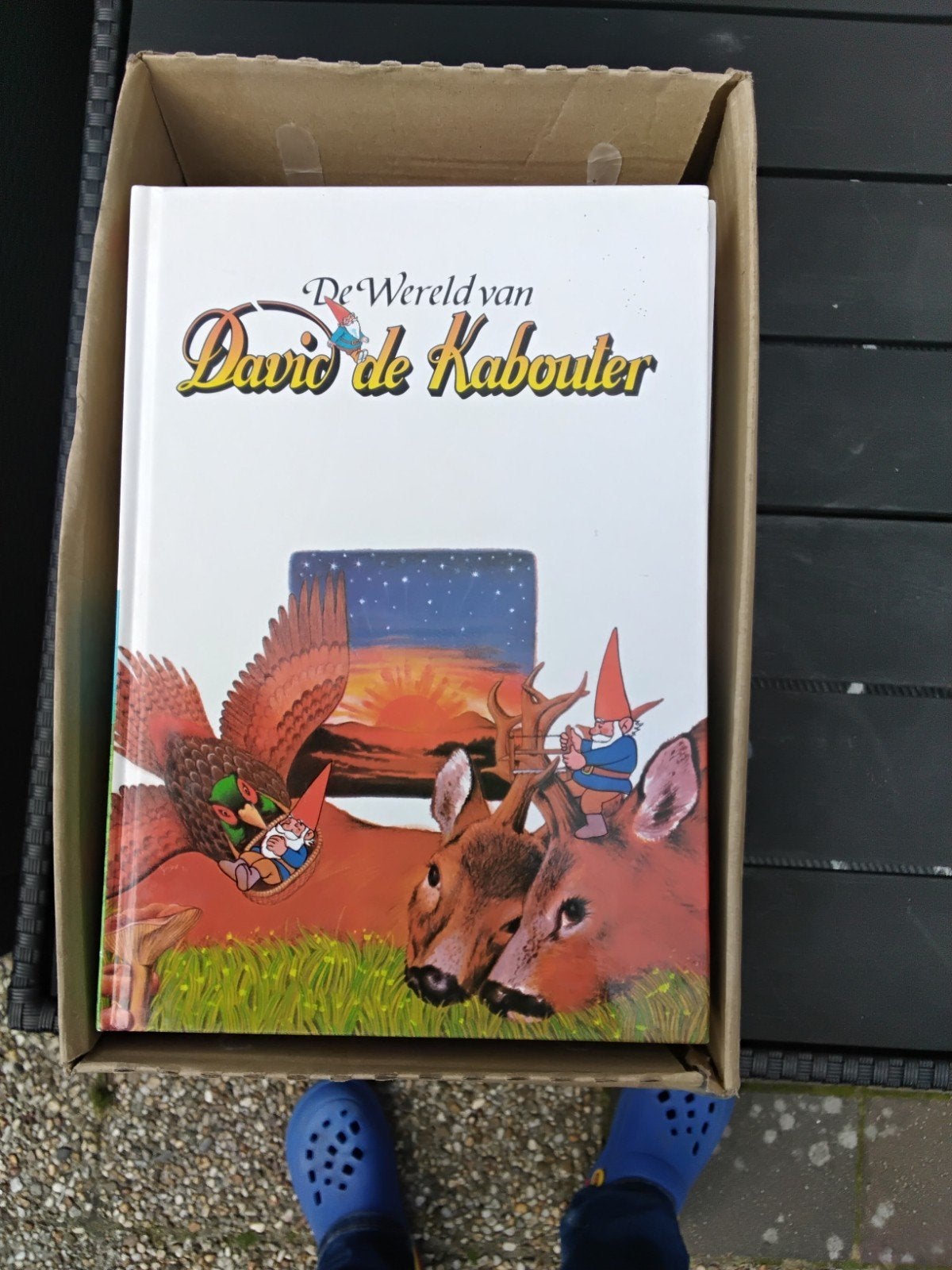 Serie , David de Kabouter boekje,s, Boeken, Ophalen of Verzenden, Zo goed als nieuw