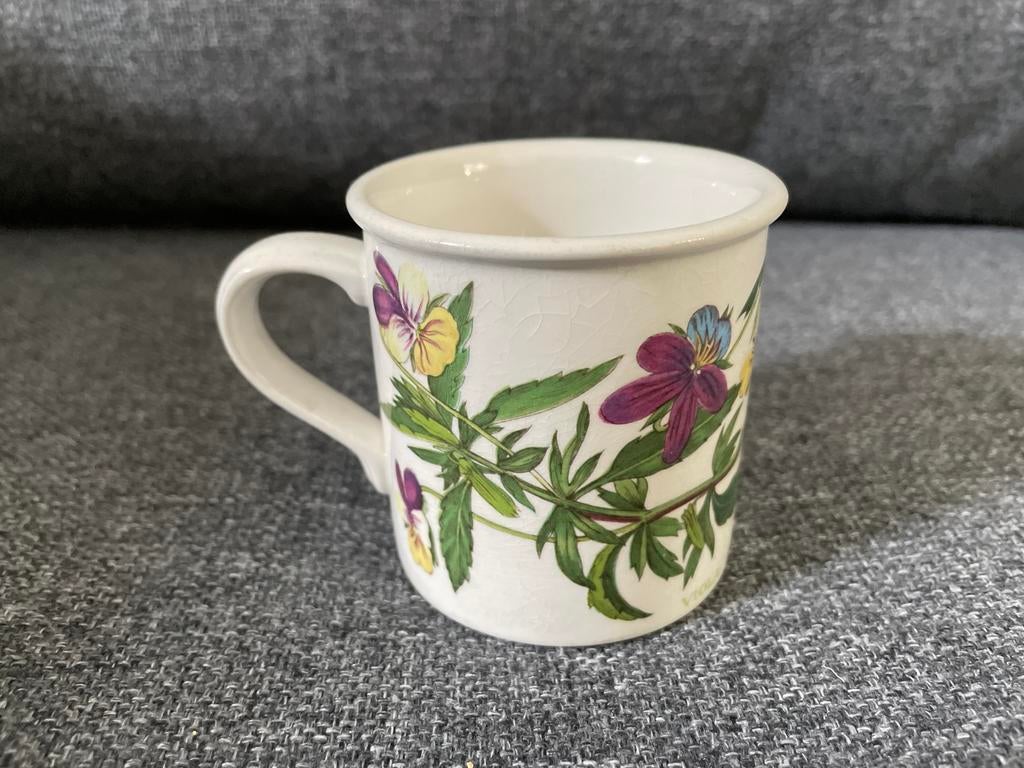 Koffie kopje mok The Botanic Garden Portmeirion, Gebruikt, Ophalen of Verzenden, Overige stijlen, Kop(pen) en/of Schotel(s)