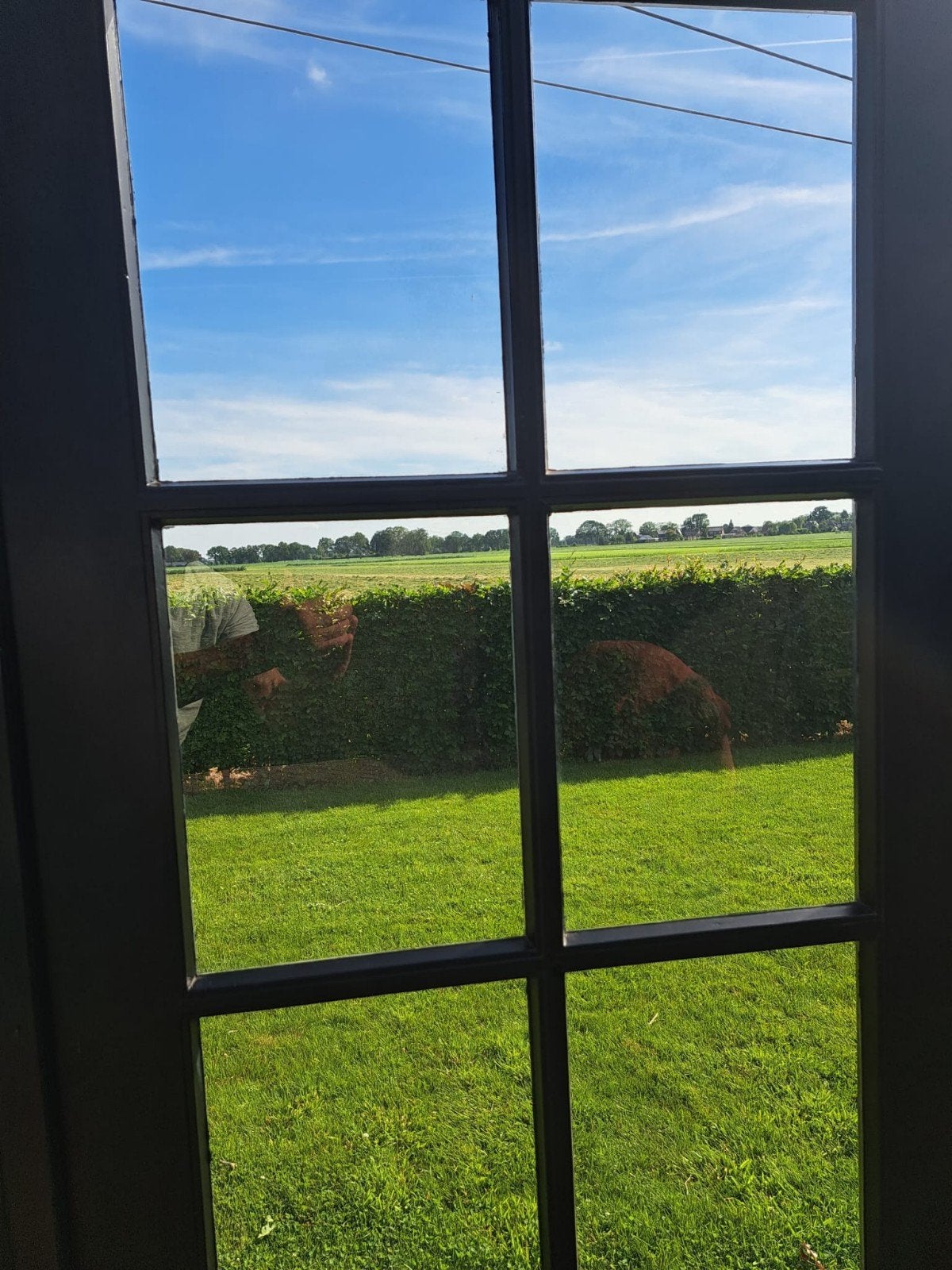 Zwarte dubbele tuindeuren met glas, Ophalen, Gebruikt, 200 tot 215 cm, Glas