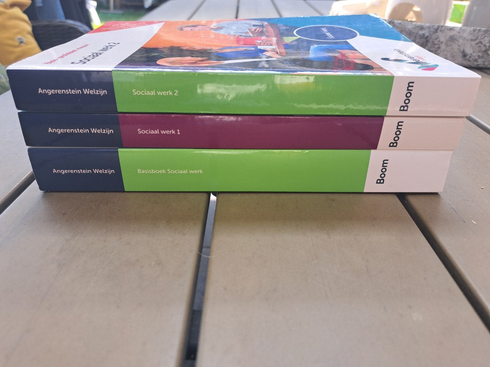 Sociaal Werk 1 & 2 + Basisboek - Angerenstein Welzijn, Overige vakken, Ophalen of Verzenden, Zo goed als nieuw, Angerenstein Welzijn