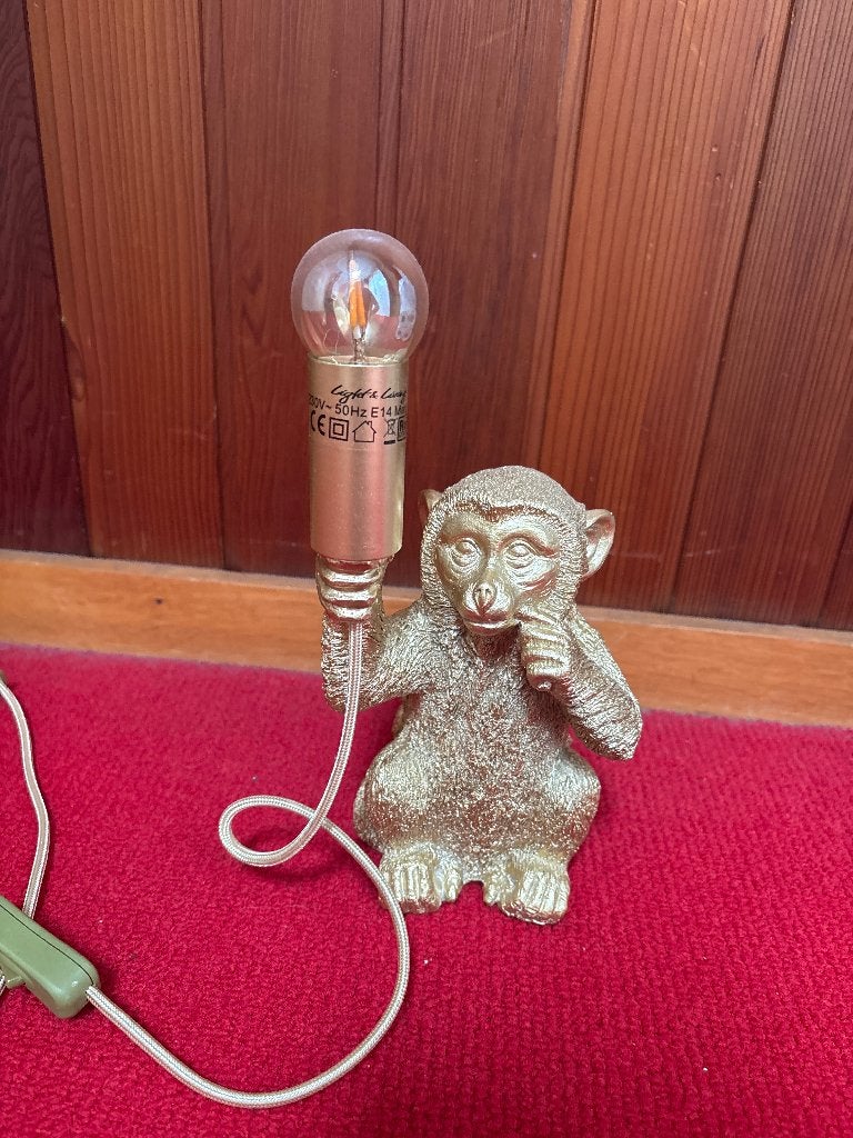 Lampje, Ophalen, Zo goed als nieuw, Minder dan 50 cm