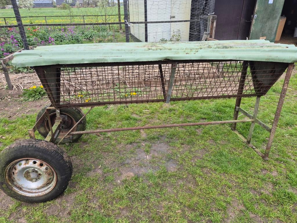 Hooiruif, Dieren en Toebehoren, Schapen, Geiten en Varkens, Meerdere dieren, Schaap