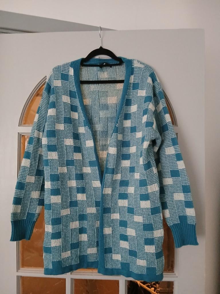 Vest Maat M, Kleding | Dames, Truien en Vesten, Ophalen of Verzenden, Zo goed als nieuw, Maat 38/40 (M)