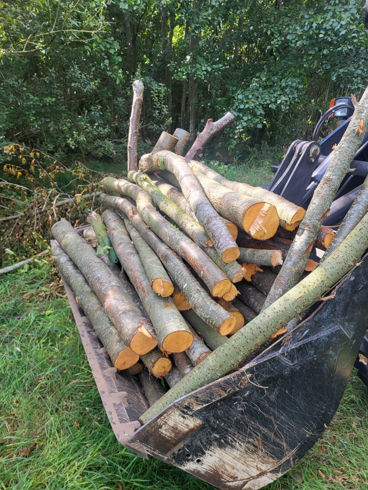 kachelhout brandhout haardhout, Tuin en Terras, Haardhout, Minder dan 3 m³, Ophalen, Elzenhout, Stammen