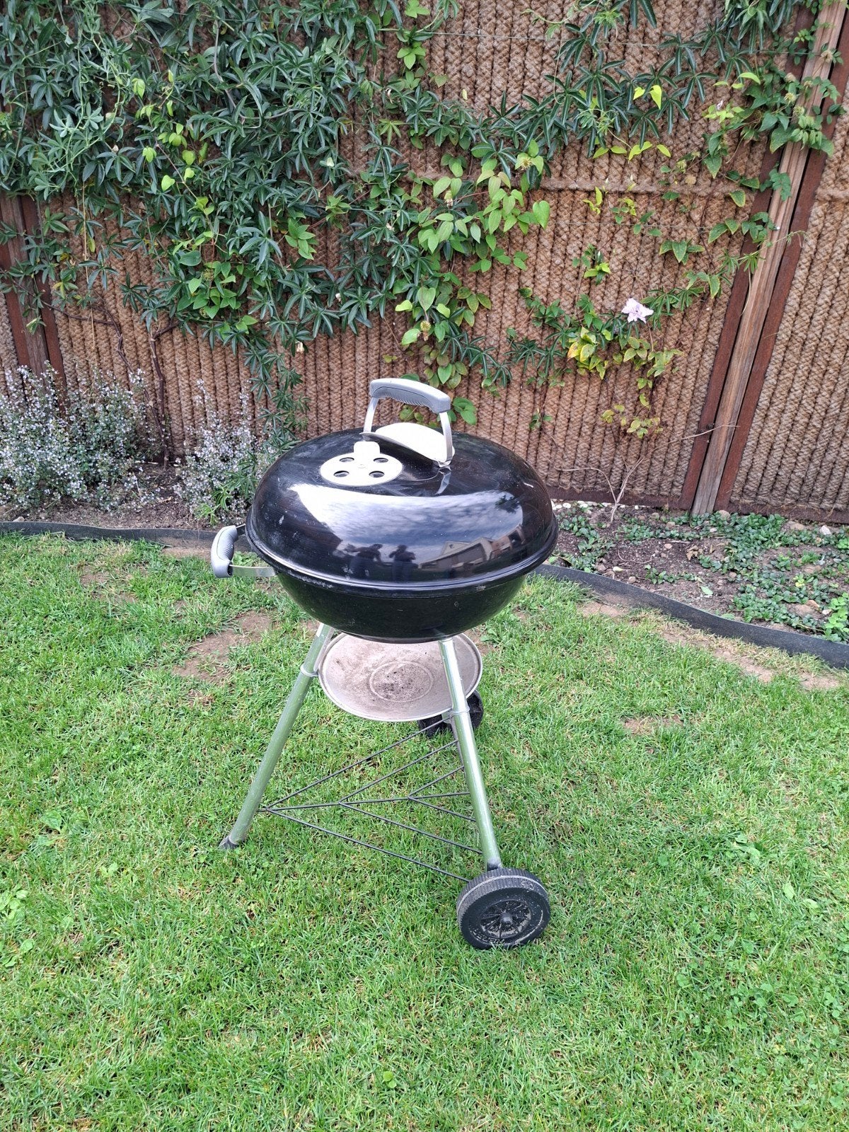 Weber Kolen Barbecue - Perfect voor de nazomer!, Ophalen, Gebruikt, WEBER BBQ