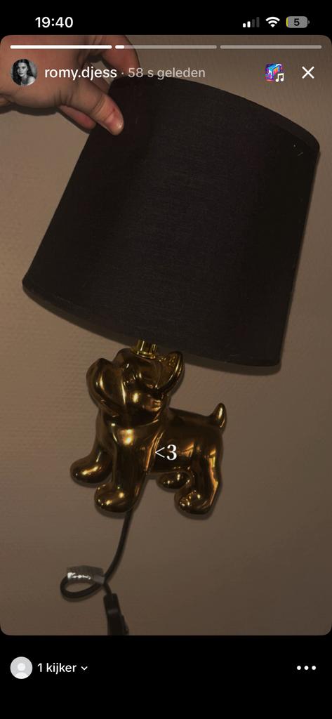 Lamp franse bulldog, Ophalen, Minder dan 50 cm