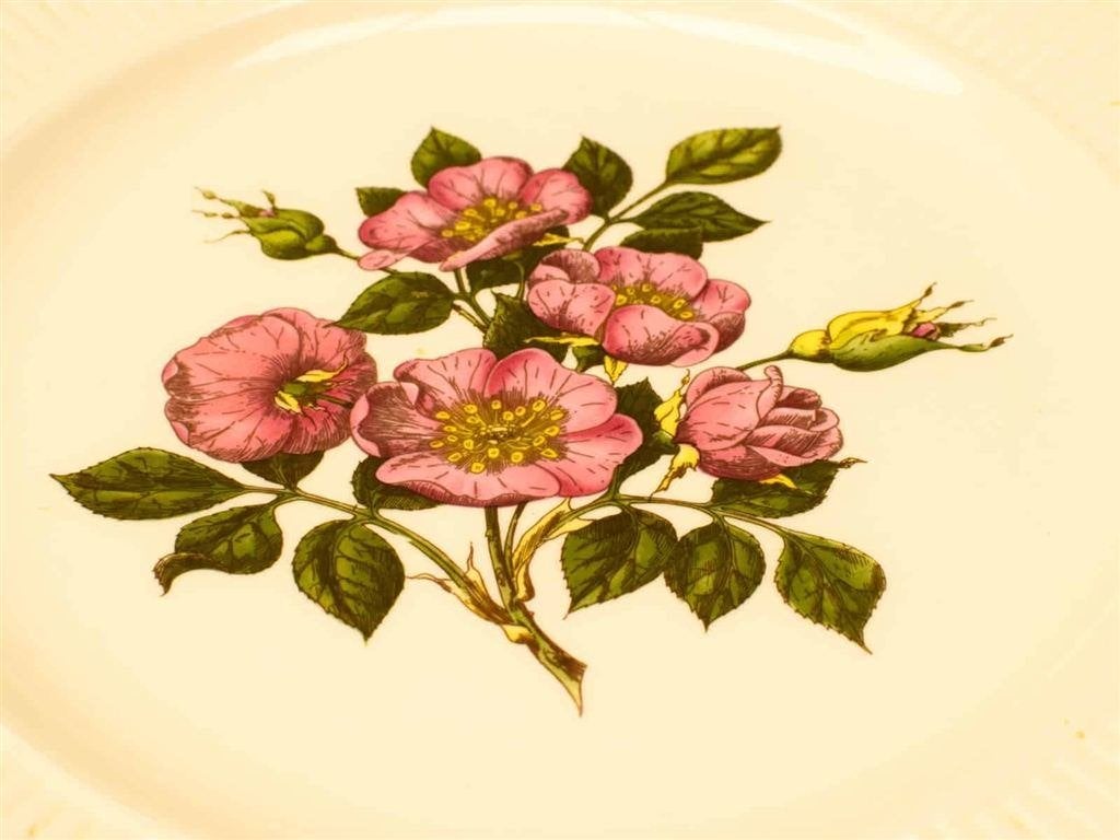 Wedgwood Grote bord 52703, Ophalen of Verzenden, Gebruikt, Aardewerk, Bord(en)