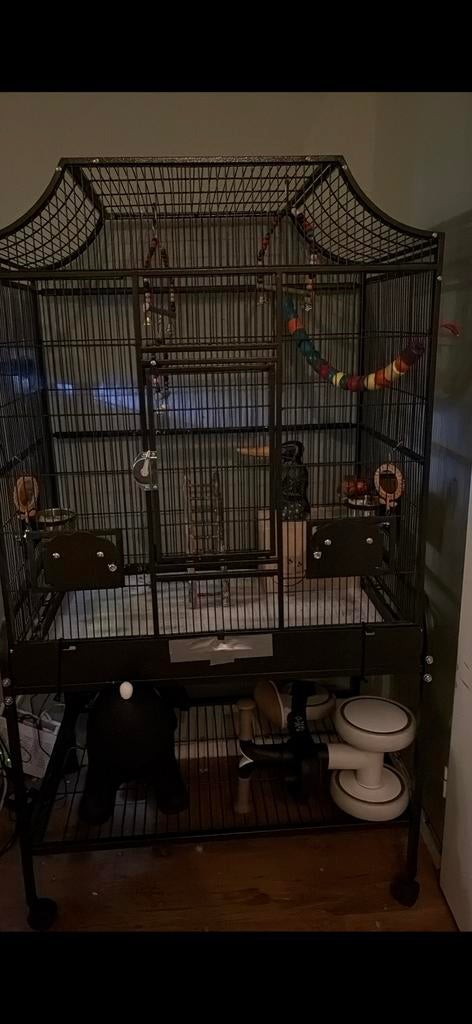 Vogelkooi zonder inhoud., Dieren en Toebehoren, Vogels | Hokken en Kooien, Zo goed als nieuw, Vogelkooi, Metaal, Ophalen