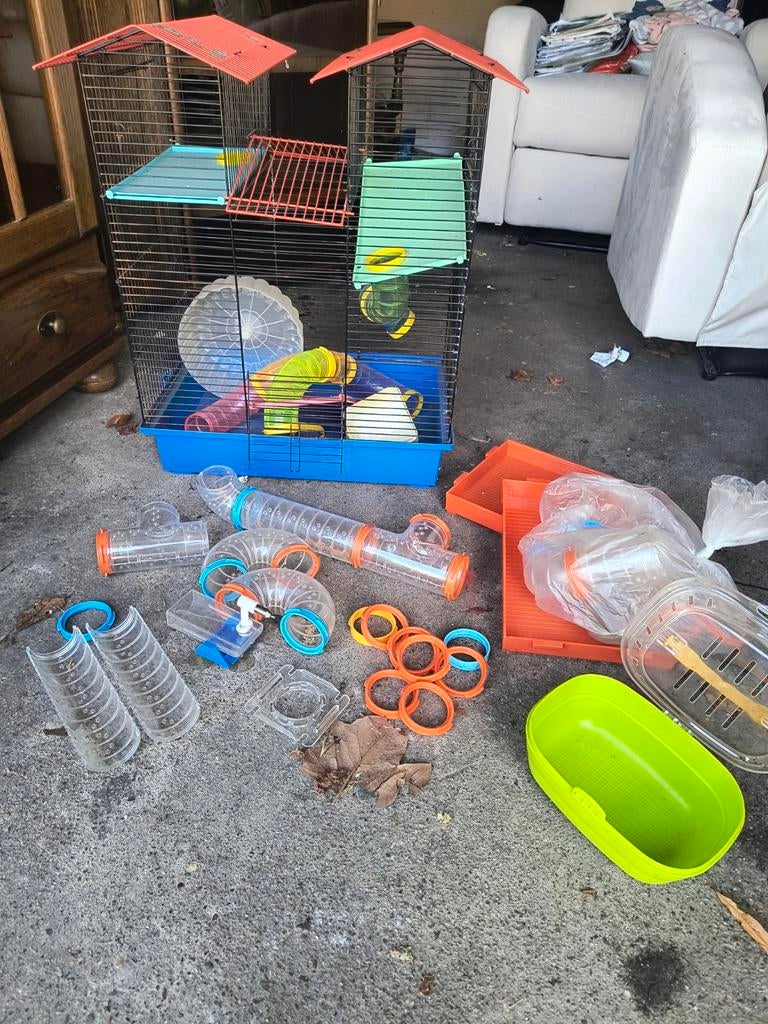 Hamsterkooi, Dieren en Toebehoren, Knaagdieren, December, Meerdere dieren, Hamster