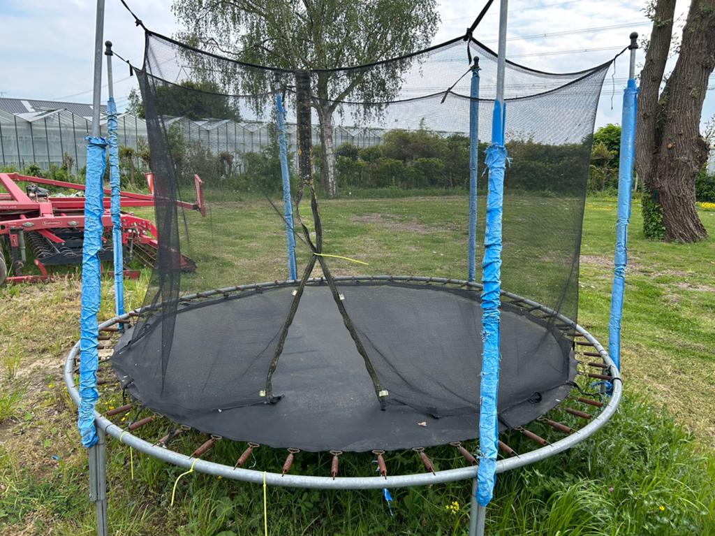 Trampolines, Ophalen