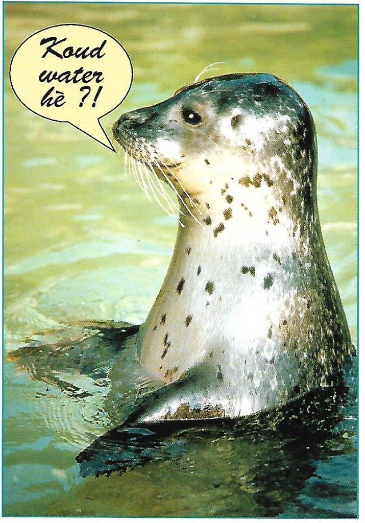 Zeehond., Verzenden, 1980 tot heden, Ongelopen, Wild dier