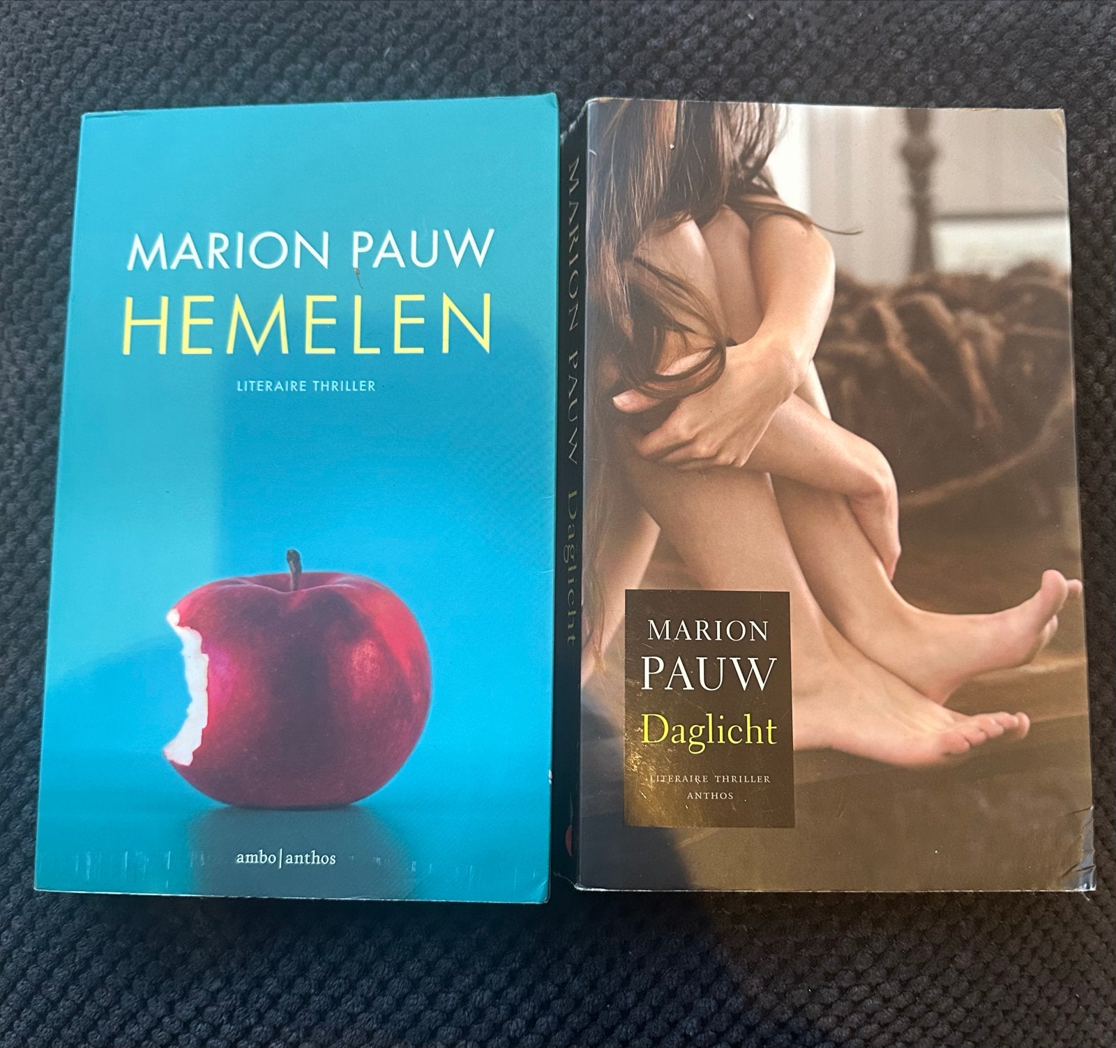 Marion Pauw: Hemelen & Daglicht - Literaire Thrillers, Ophalen of Verzenden, Gelezen