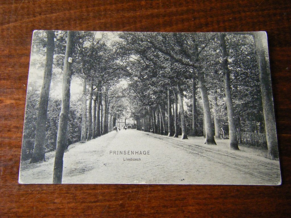 Q38 - Breda / Princenhage - Liesbosch - 1908 - Mooi/Oud, Ophalen of Verzenden, Voor 1920, Noord-Brabant