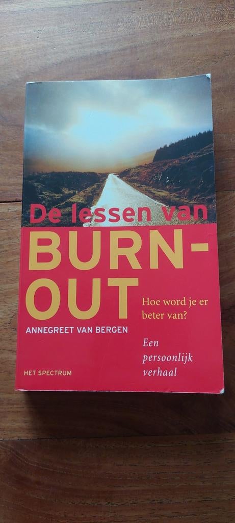 De lessen van BURN-OUT - AnneGreet van Bergen, Ophalen of Verzenden, Gelezen, AnneGreet van Bergen