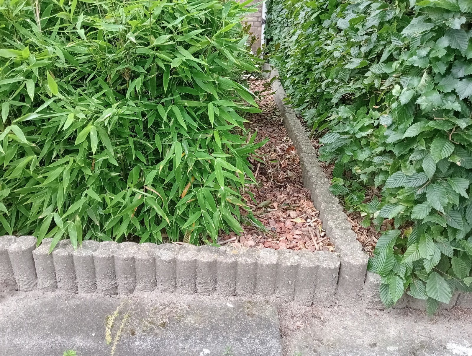 GRATIS betonnen golfbanden voor tuin, borders, Tuin en Terras, Ophalen, Overige materialen, Gebruikt, Overige typen