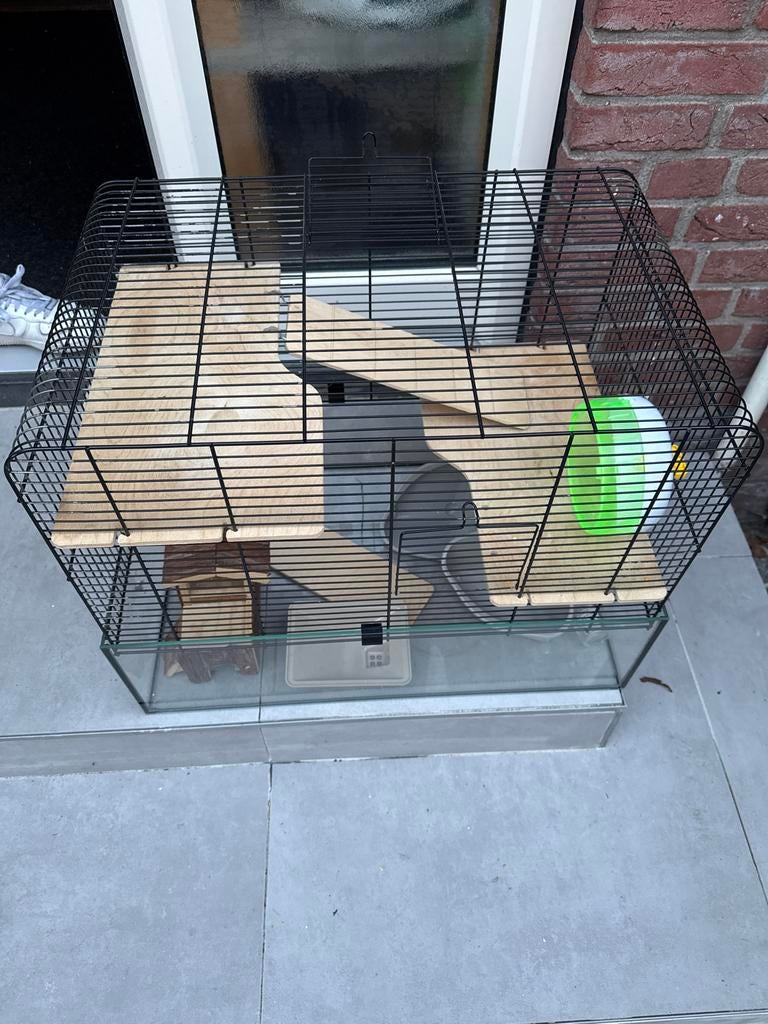 Knaagdieren hok glazen onderbak, Minder dan 60 cm, Gebruikt, Minder dan 75 cm, Ophalen of Verzenden