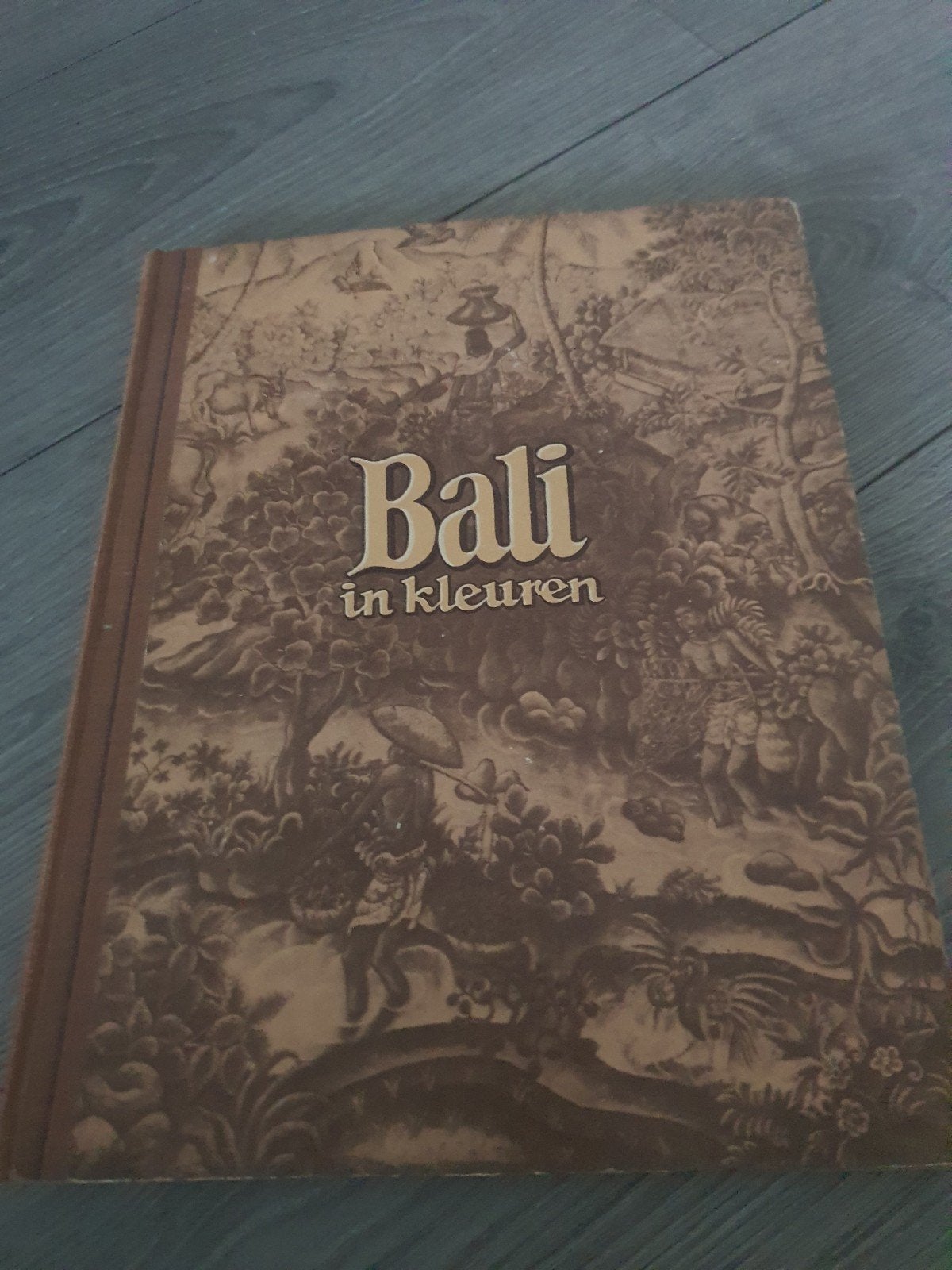 Bali in kleuren - Reisgids/boek, Ophalen of Verzenden, Reisgids of -boek, Azië, Gelezen