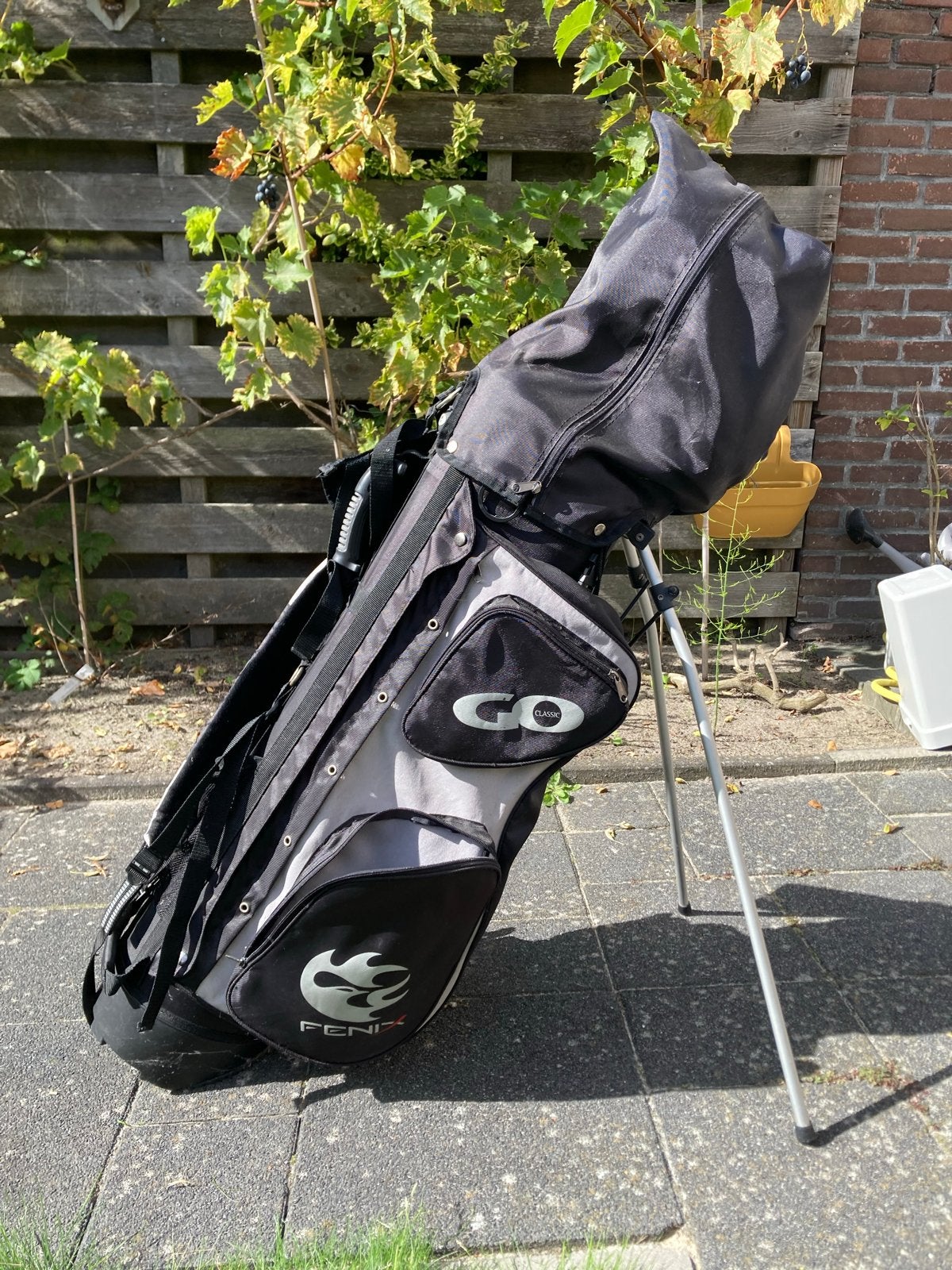 Complete golfset met tas, clubs, ballen en tees, Sport en Fitness, Ophalen, Gebruikt, Set, Overige merken