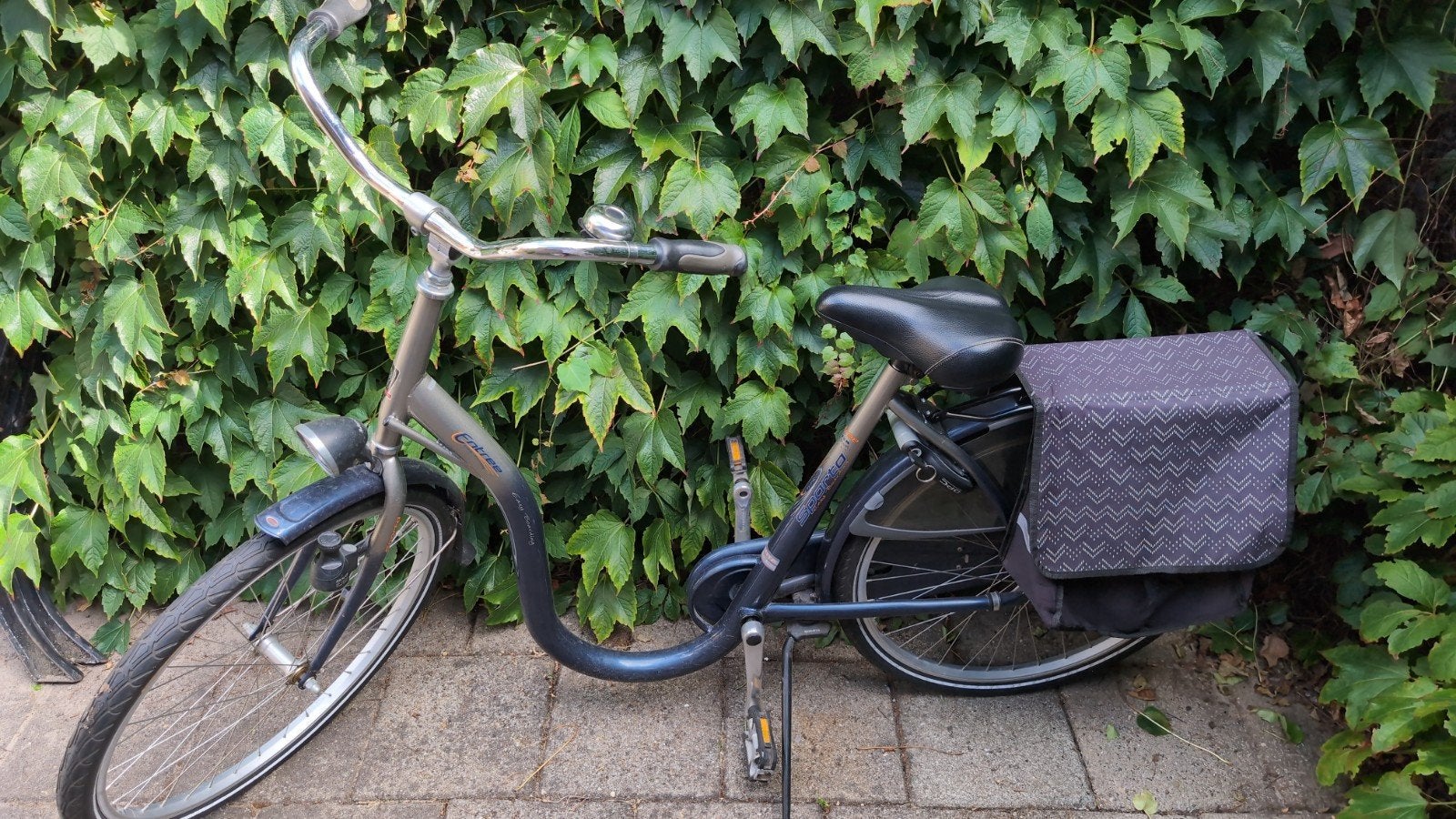Sparta fiets met extra lage instap en fietstassen, Ophalen, Sparta, Velgrem, 50 tot 53 cm