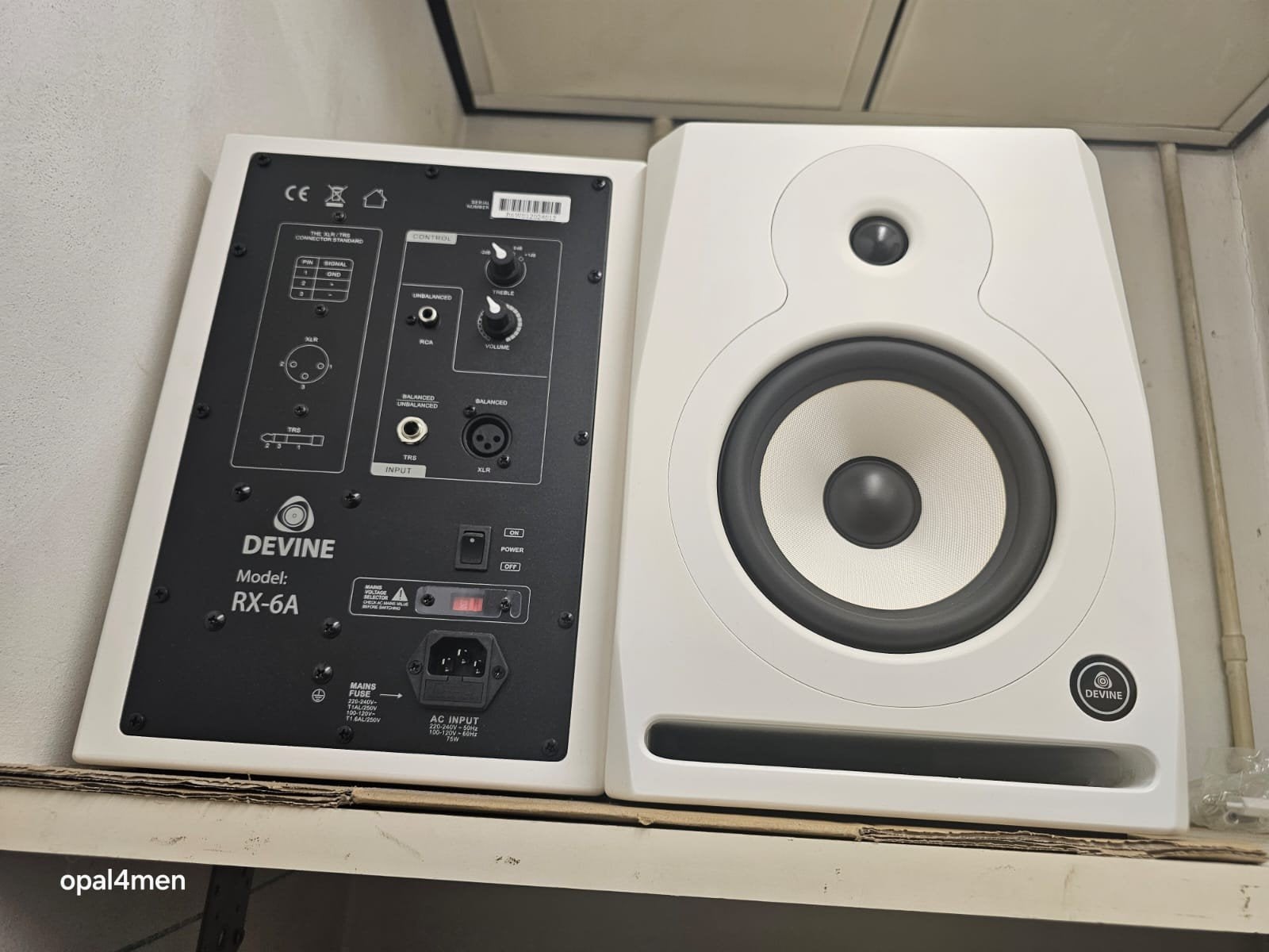 Devine RX-6A Studiomonitoren met MIC100 kabels, Ophalen, Zo goed als nieuw, Overige typen