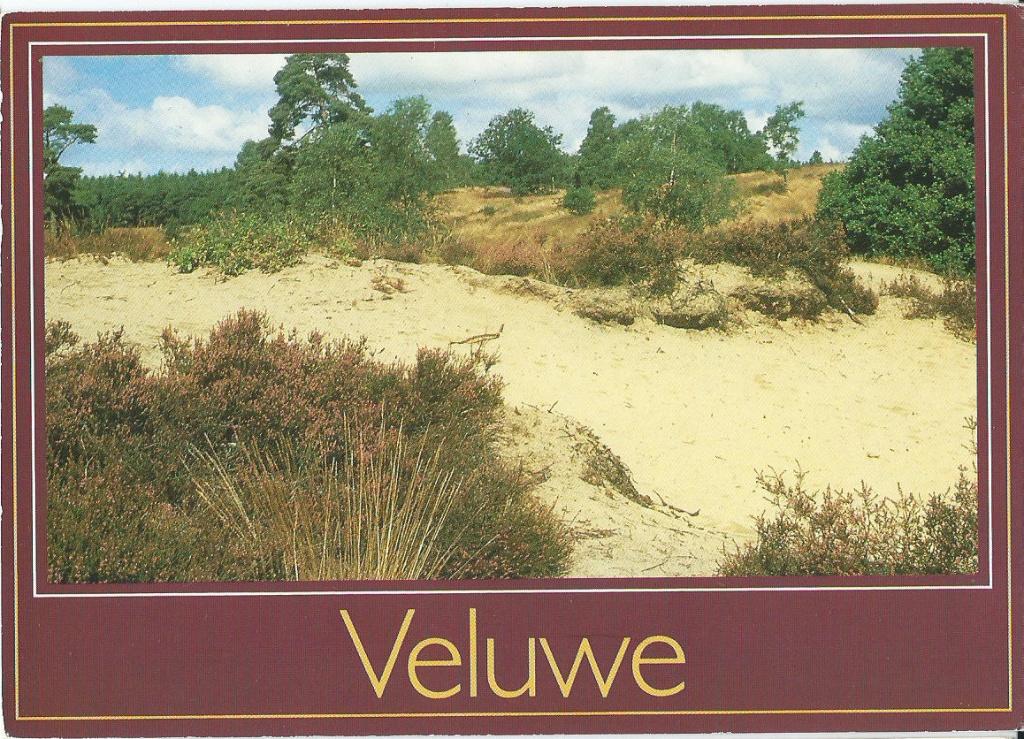 Ansichtkaart Veluwe (3), Ophalen of Verzenden, 1980 tot heden, Gelopen, Gelderland