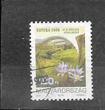 Hongarije, mi.4992, gestempeld, Verzenden, Gestempeld