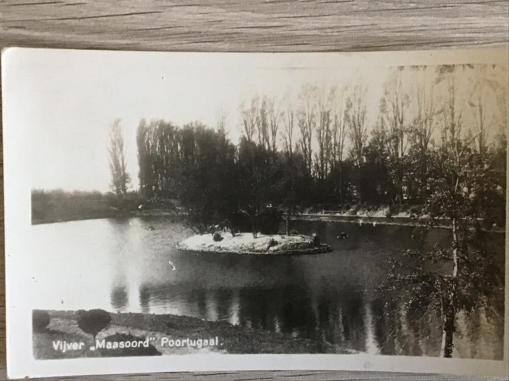 Poortugaal Vijver Maasoord 1953, Verzenden, 1940 tot 1960, Gelopen, Zuid-Holland