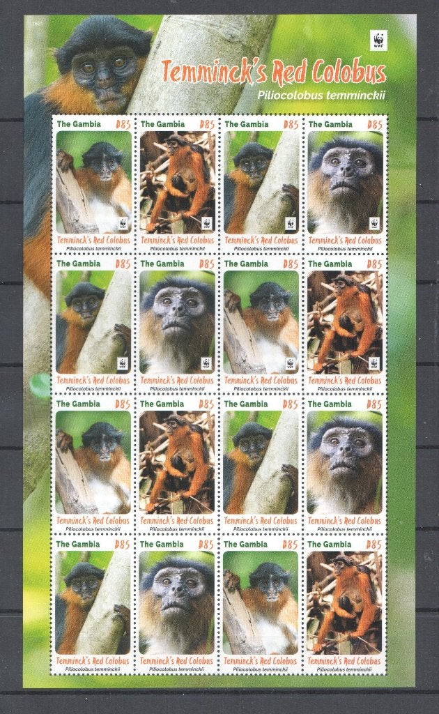 WWF postzegelvel van de Westafrikaanse Franjeaap, Ophalen of Verzenden, Postfris, Dier of Natuur